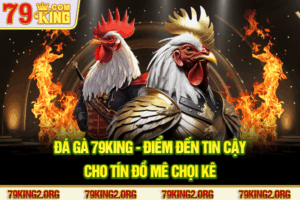 Đá gà 79king - Điểm đến tin cậy cho tín đồ mê chọi kê