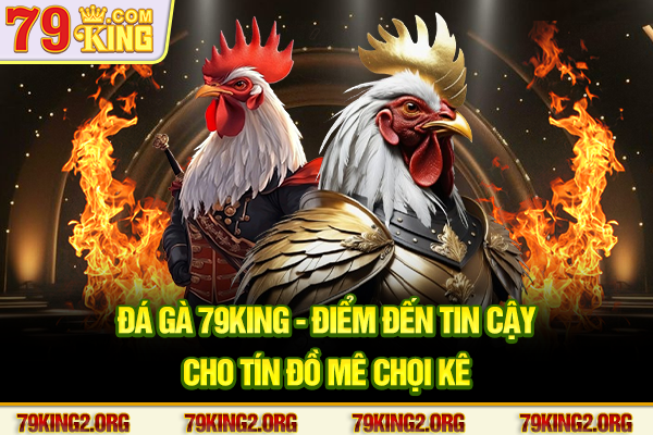 Đá gà 79king - Điểm đến tin cậy cho tín đồ mê chọi kê