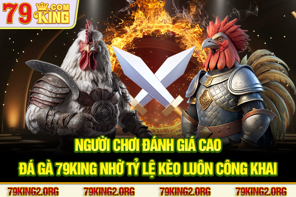 Người chơi đánh giá cao đá gà 79king nhờ tỷ lệ kèo luôn công khai